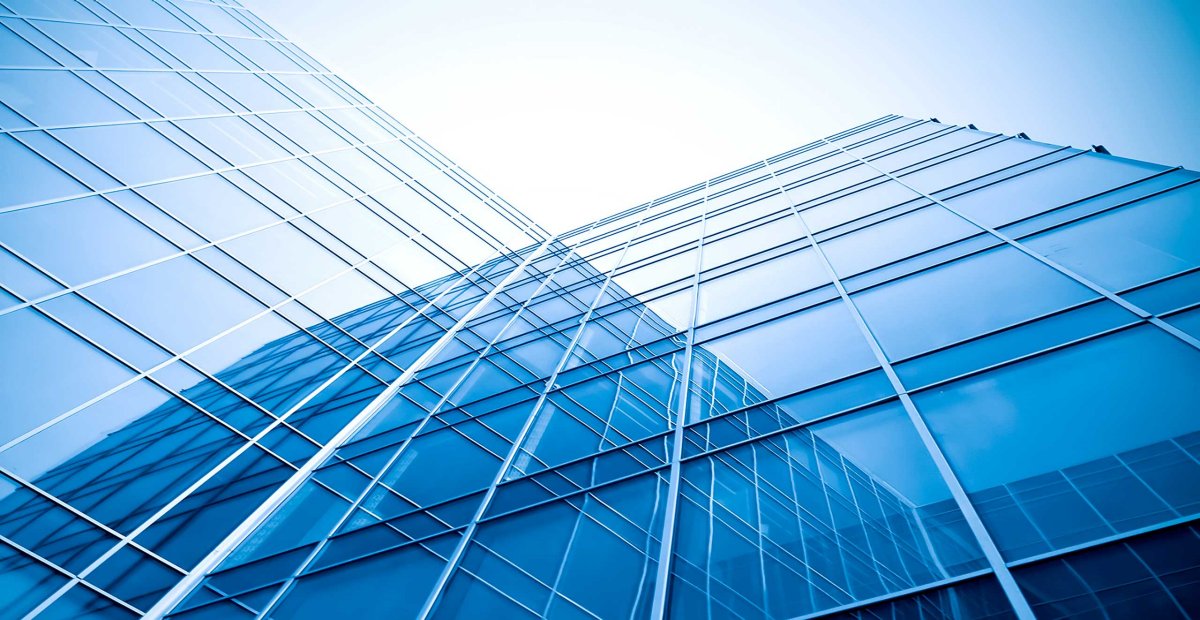 Bridgeway Insurance Company